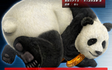 Panda-in-tekken-6