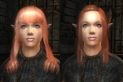 Elder Scrolls IV: Oblivion, The - Нестандартные расы