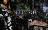The_elder_scrolls_4_oblivion_1280x1024_4_