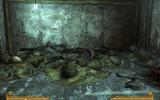 Fallout3_2009-09-21_15-17-30-70