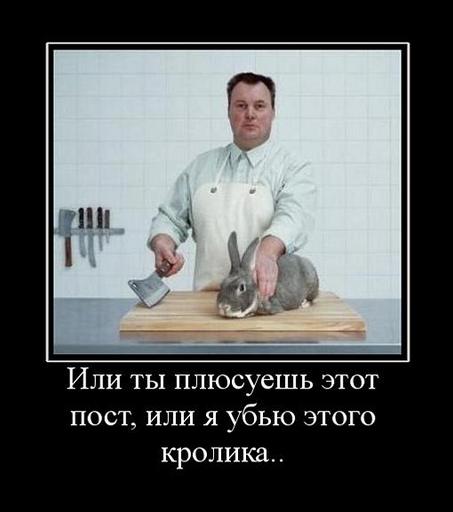 Обо всем - Грюнвальд 2009