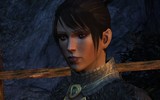 Dragon-age-origins-13