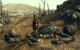 Kopiya_fallout3_2009-05-20_19-38-39-15