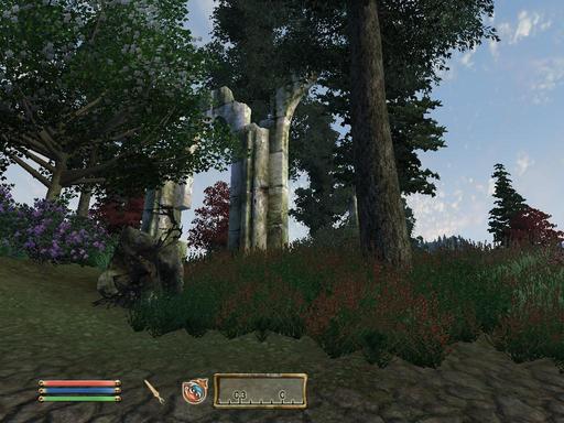 Elder Scrolls IV: Oblivion, The - Дневник имперского гастарбайтера