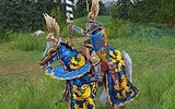 Heroesv_idcards_haven_06u_paladin_09