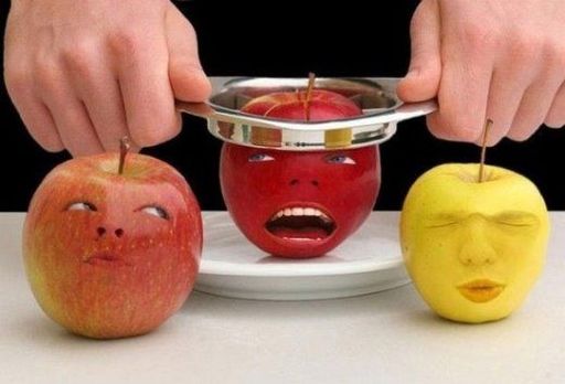 Обо всем - The Annoying Orange