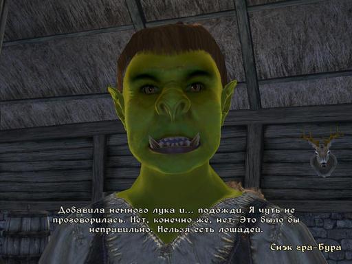 Elder Scrolls IV: Oblivion, The - Дневник имперского гастарбайтера. Том второй.