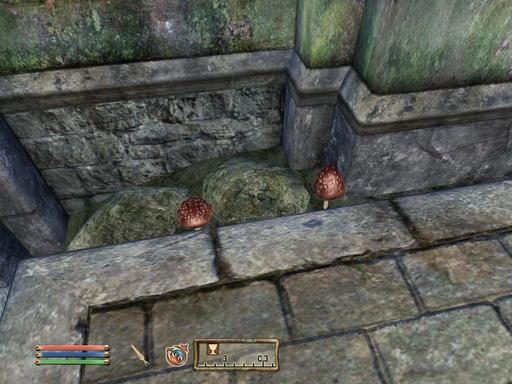 Elder Scrolls IV: Oblivion, The - Дневник имперского гастарбайтера. Том второй.