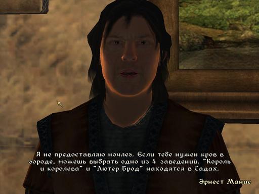 Elder Scrolls IV: Oblivion, The - Дневник имперского гастарбайтера. Том второй.