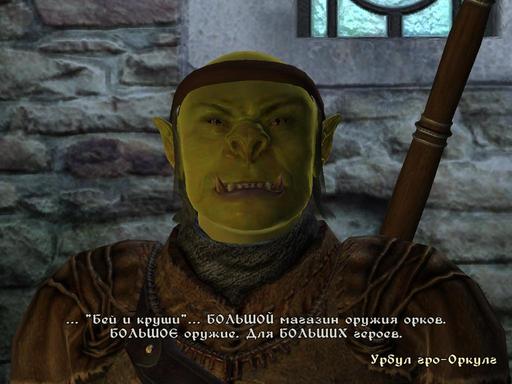 Elder Scrolls IV: Oblivion, The - Дневник имперского гастарбайтера. Том второй.