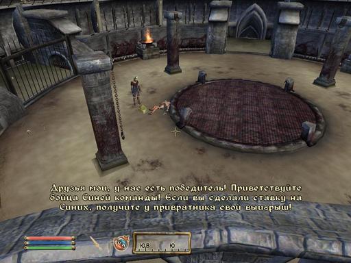 Elder Scrolls IV: Oblivion, The - Дневник имперского гастарбайтера. Том второй.