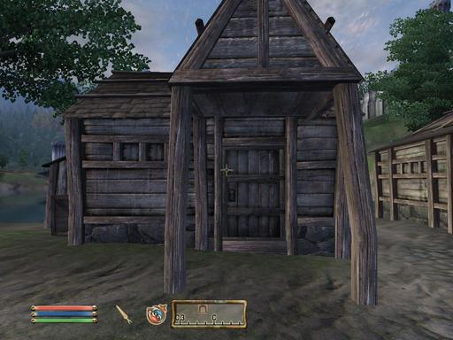 Elder Scrolls IV: Oblivion, The - Дневник имперского гастарбайтера. Том второй.