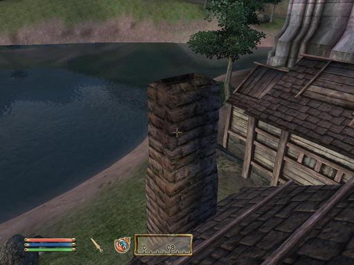 Elder Scrolls IV: Oblivion, The - Дневник имперского гастарбайтера. Том второй.