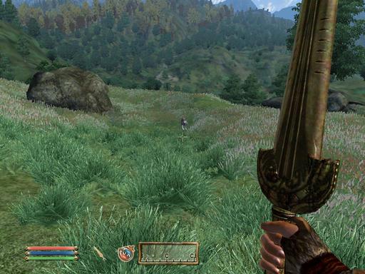 Elder Scrolls IV: Oblivion, The - Дневник имперского гастарбайтера. Том второй.