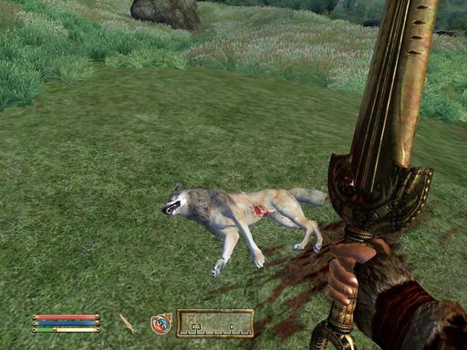 Elder Scrolls IV: Oblivion, The - Дневник имперского гастарбайтера. Том второй.