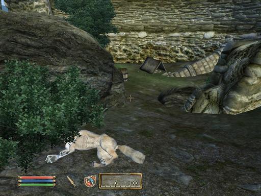 Elder Scrolls IV: Oblivion, The - Дневник имперского гастарбайтера. Том второй.