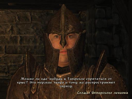 Elder Scrolls IV: Oblivion, The - Дневник имперского гастарбайтера. Том второй.