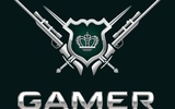 Gamer_ru_officiallogo_sq