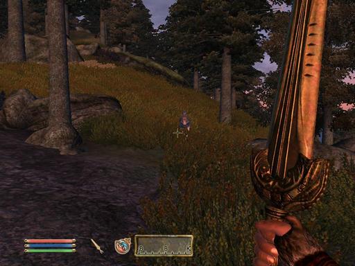 Elder Scrolls IV: Oblivion, The - Дневник имперского гастарбайтера. Том третий.