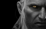Geralt_ii_v_2_by_didi510