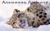 Snow_leopard_day_by_priestek2