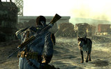 Fallout3dog