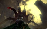 Image_the_witcher_2_assassins_of_kings-13162-2006_0008