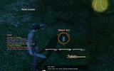 Ffxivgame_2010-07-10_23-32-40-04