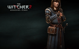 Thewitcher2_vernon_1280x1024