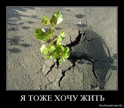 Обо всем - Новогодний Остракизм: Война за выживание. Продолжение 