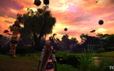 Tera_screenshot_20110118_095546