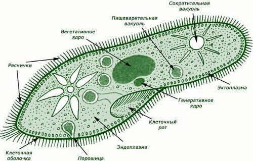 Обо всем - Еженедельный обзор игровой индустрии и всего сопричастного. №46