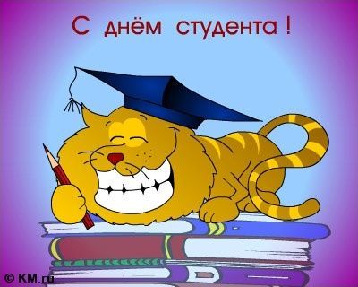Обо всем - Новогодний Остракизм: Война за выживание