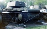 Kv1_6