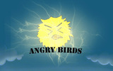 Bird03
