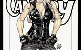 Black_canary_final_by_paulosiqueira-d2za374