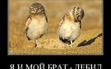 Ya-i-moj-brat-debil_8378_demotivatorz-ru