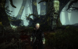 Witcher2_blasphemeroutfit