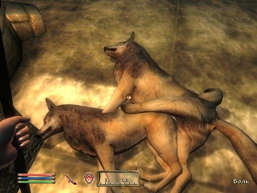 Elder Scrolls V: Skyrim, The - Свиток Веры. Конкурс "Своя история".