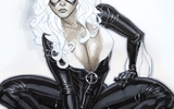 Black-cat-sketch