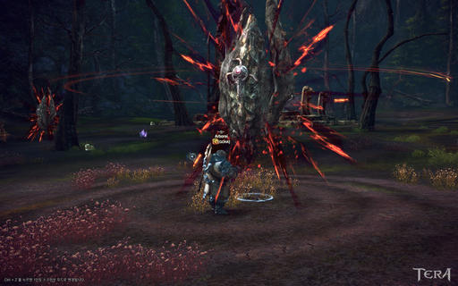 TERA: The Exiled Realm of Arborea - TERA Online. Мой блог или путешествие по миру.