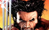 1273679691_wolverine_poster_book_sepi_16