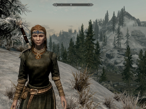 Elder Scrolls V: Skyrim, The - Покажи мне своего Довакина. Я хочу видеть его!