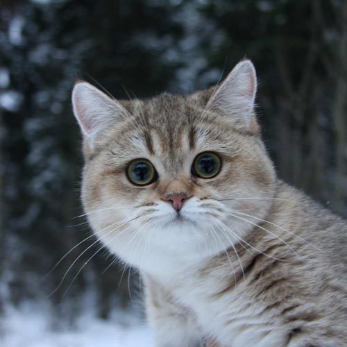 Обо всем - Деньги? Не, не слышал.