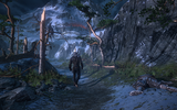_bmuploads_2013-10-28_6255_the_witcher_3_wild_hunt_forest_path