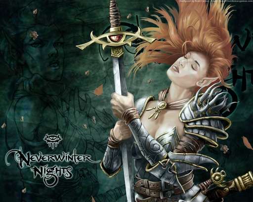 Neverwinter Nights - Neverwinter Nights (2002год): Знаете ли вы, что?