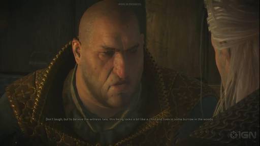 The Witcher 3: Wild Hunt - Живой геймплей The Witcher 3: Wild Hunt на E3 2014: Новиград и болота Ничейных земель The Witcher 3: Wild Hunt - Живой геймплей The Witcher 3: Wild Hunt на E3 2014: Новиград и болота Ничейных земель