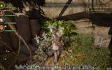 Dragonageinquisition_2014-12-10_21-45-04-42