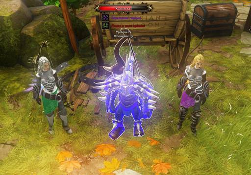 Divinity: Original Sin - Divinity:Original Sin: Две лучницы.