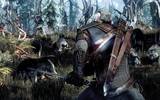 6-_a_single_wolf_might_not_be_a_problem__but_geralt_needs_to_be_on_top_of_his_game_when_he_squares_off_against_a_whole_pack_of_these_bloodthirsty_creatures